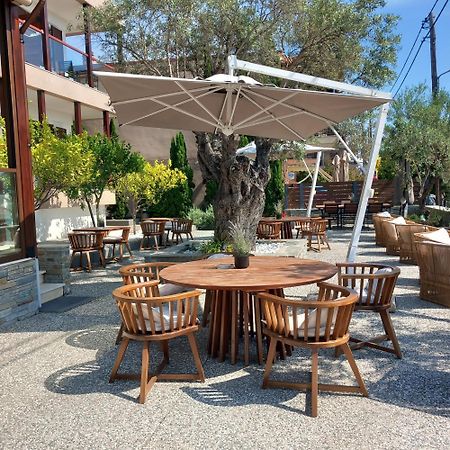 Ayia Marina Suites Ouranoupoli Luaran gambar