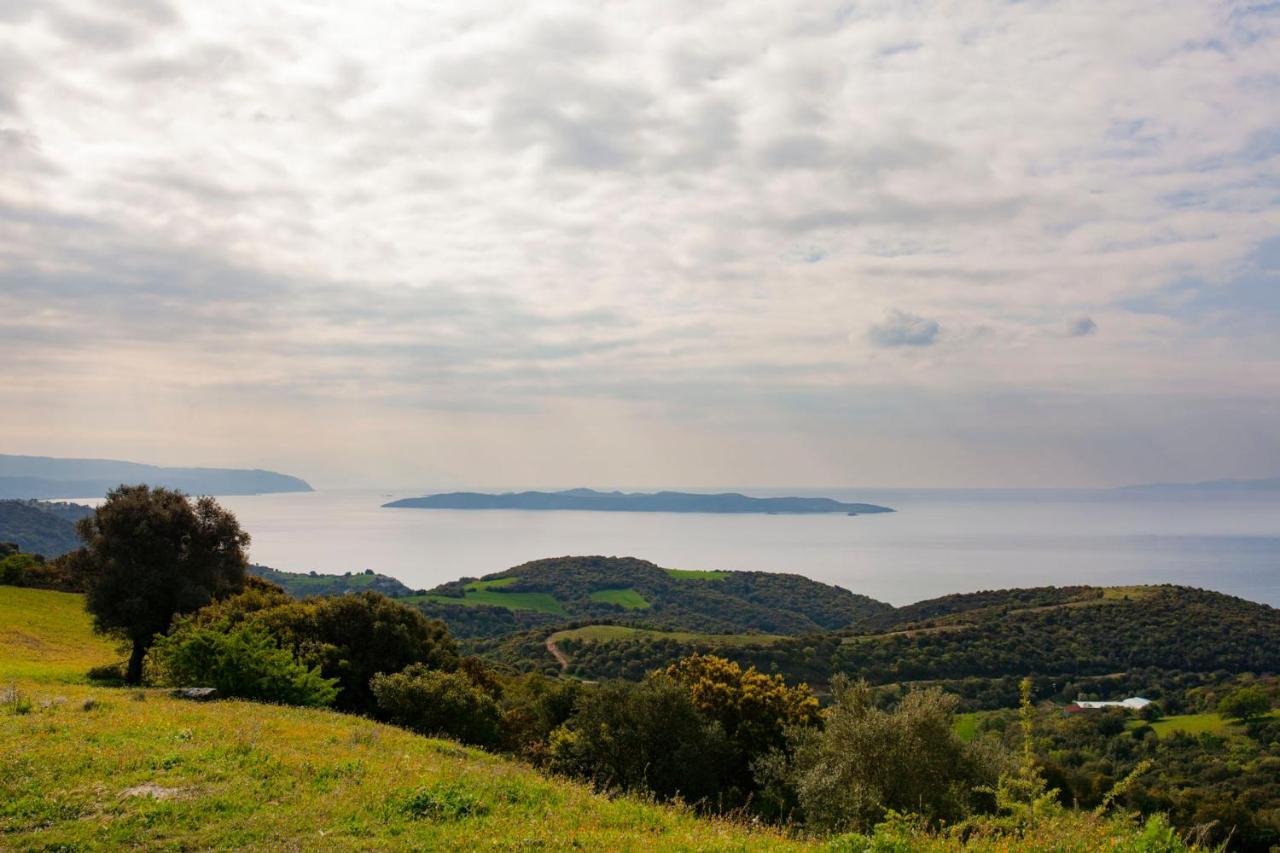 Ayia Marina Suites Ouranoupoli Luaran gambar